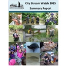 City Stream Watch