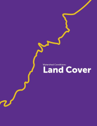 3. Land Cover