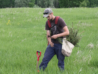 RVCA Plants Over 275,000 Trees This Spring!