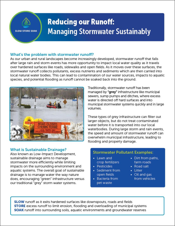 Reducing Our Runoff: Managing Stormwater Sustainably