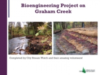 Bioengineering Project on Graham Creek
