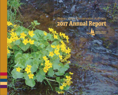 RVCA Celebrates World Water Day with Release of  2017 Annual Report