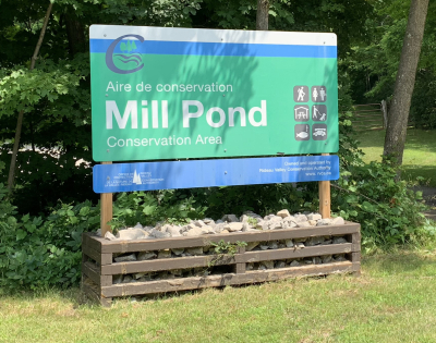 PSA: Mill Pond to close temporarily for maintenance