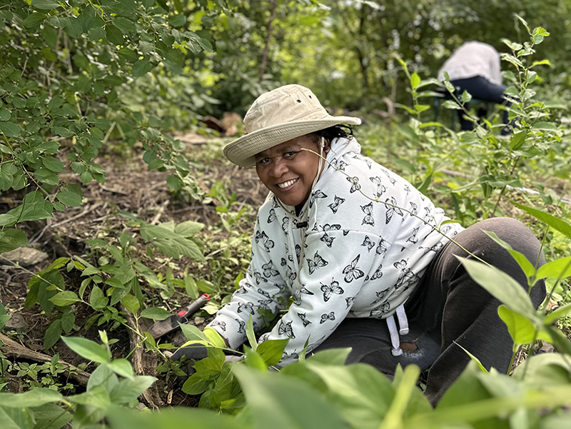 a volunteer removes plants from the shoreline