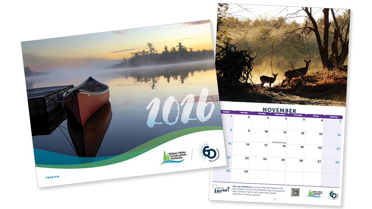 Cover of RVCA 2026 calendar with example month