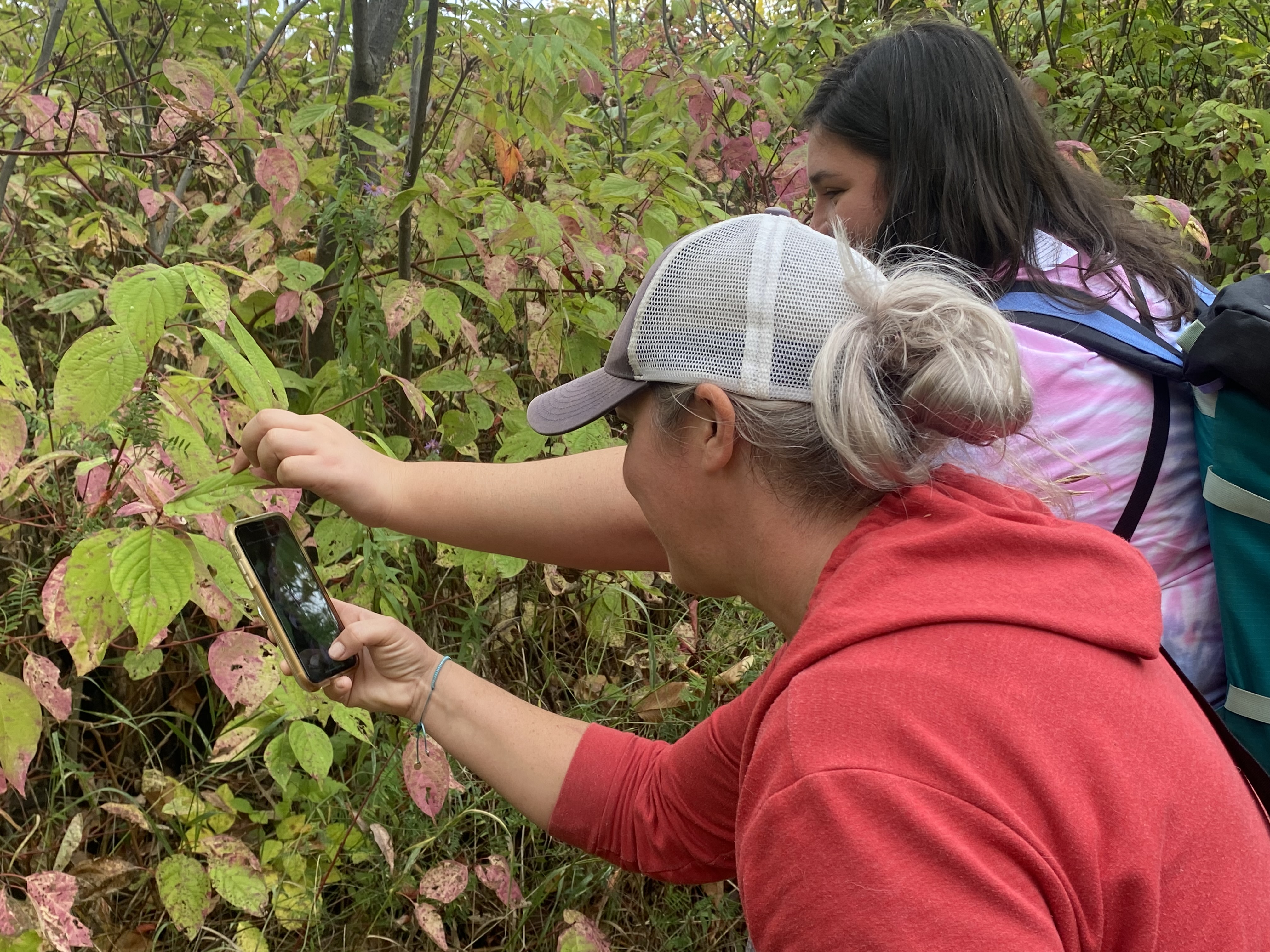 A woman uses her phone to take a photo of a shrub