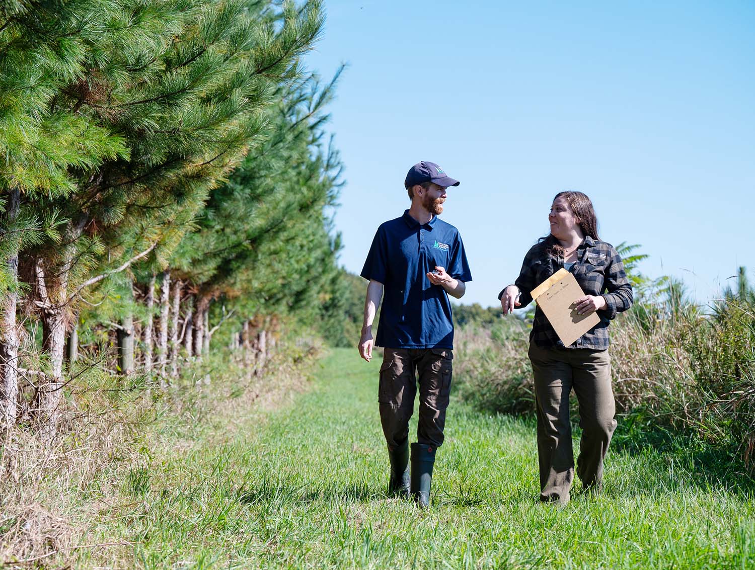 Credit: Forests Ontario
