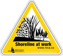 Shoreline at Work 1