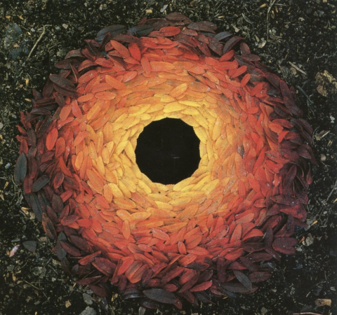 A ring of red, orange and yellow leaves surrounds a black hole as part of a natural art installation
