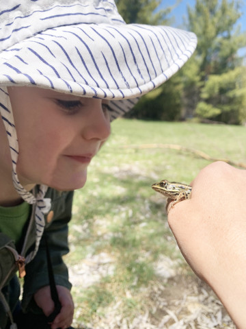 A young child smiles at a frog held in an adult's hand