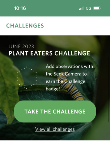 A screenshot of the Seek app describes the species challenge for June 2023