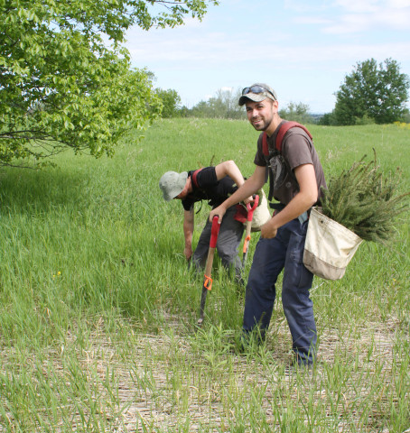 Workers plant trees in the Rideau Valley Watershed.