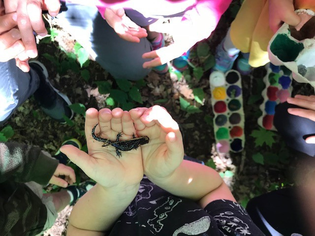 Hands hold a salamander in a crowd of children