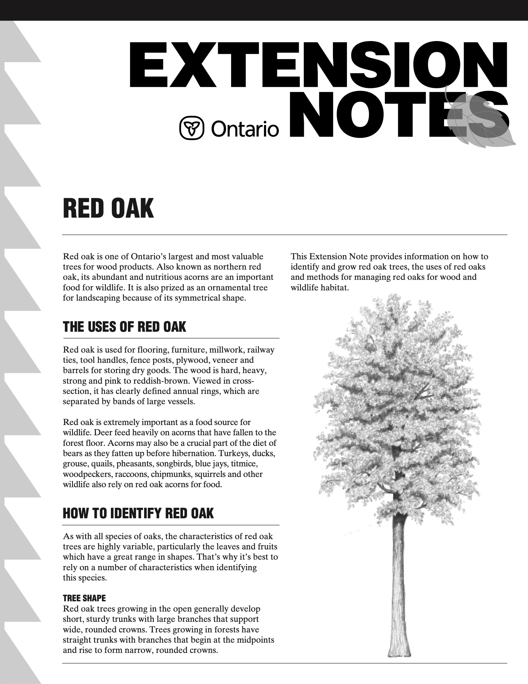 Extension note cover example
