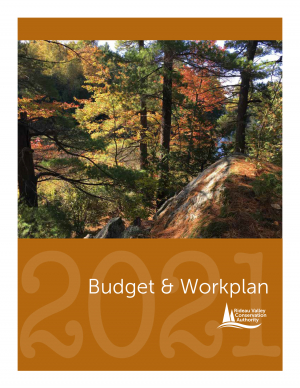 2021 Budget and Work Plan