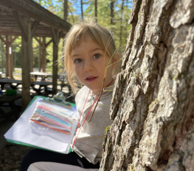 Forest school programs nurture natural curiosity