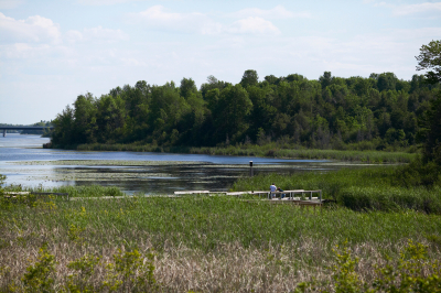 Blog launch: The River Reed to cover life in the Rideau Valley watershed