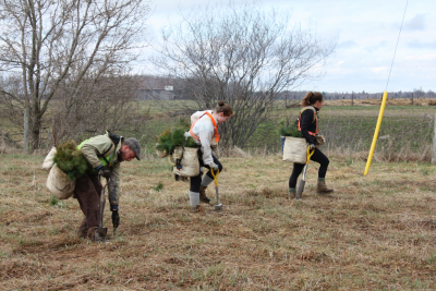 255,000 trees planted this spring – bringing RVCA total to 6.6 million