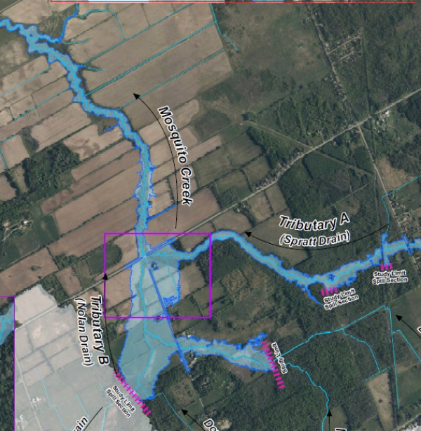 Mosquito Creek Flood Risk Mapping from Mitch Owens Road to Rideau River