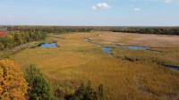 Land donation protects 360 acres of wetlands, forests at Motts Mills