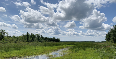 Hutton Creek Marsh getting makeover thanks to generous grant