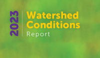 Groundbreaking report highlights environmental concerns, shifts across Rideau Watershed