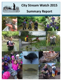 City Stream Watch 2015 Summary Report