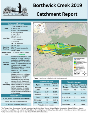 Borthwick Creek Catchment Report 2019