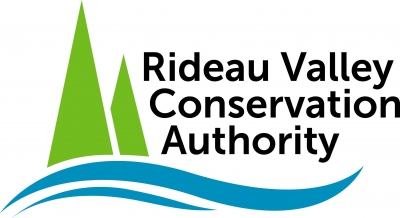 RVCA Launches New Logo