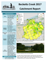 Becketts Creek - 2017  Catchment Report