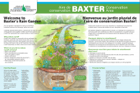 Baxter Conservation Area Rain Garden Poster