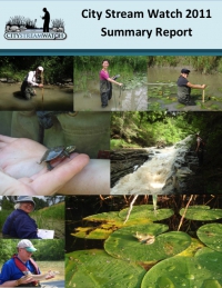 City Stream Watch 2011 - Summary Report