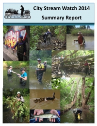 City Stream Watch 2014 Summary Report
