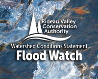Cold Weather Causing Ice Jams and Some Localized Flooding in Rideau Valley