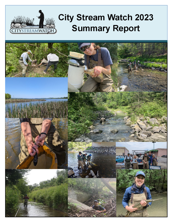 City Stream Watch 2023 Summary Report