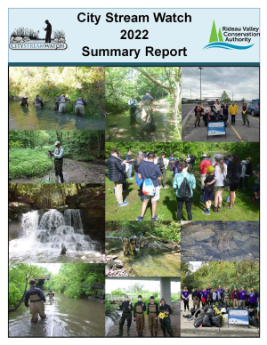 City Stream Watch 2022 Summary Report